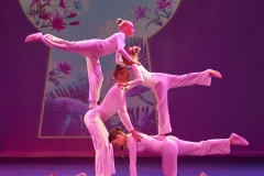 Dance Day Bunde
